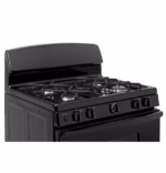 GE JGBS10DEMBB (11)
