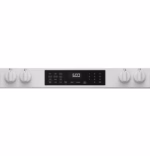 GE GRS600AVWW (6)
