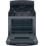 GE JGBS10DEMBB (4)